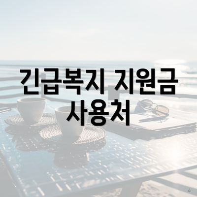 긴급복지 지원금 사용처