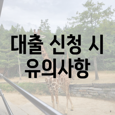 대출 신청 시 유의사항