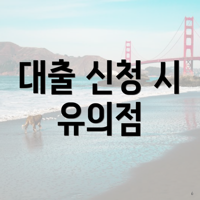 대출 신청 시 유의점