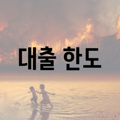 대출 한도