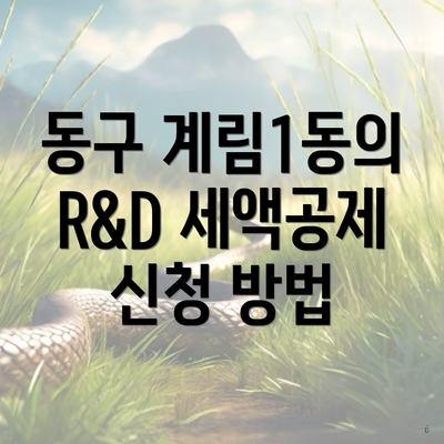 동구 계림1동의 R&D 세액공제 신청 방법