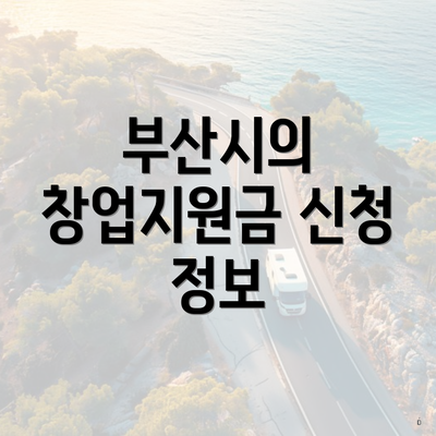 부산시의 창업지원금 신청 정보