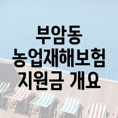 부암동 농업재해보험 지원금 개요