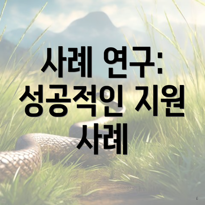 사례 연구: 성공적인 지원 사례