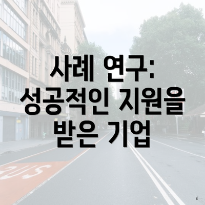 사례 연구: 성공적인 지원을 받은 기업