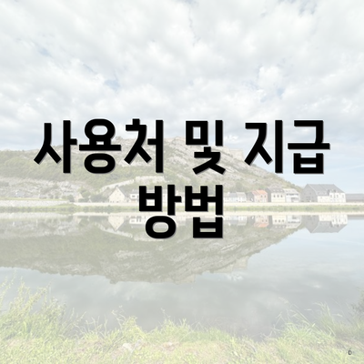 사용처 및 지급 방법