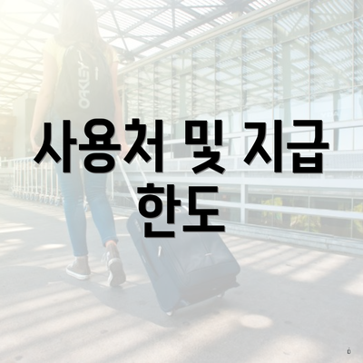 사용처 및 지급 한도