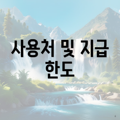 사용처 및 지급 한도
