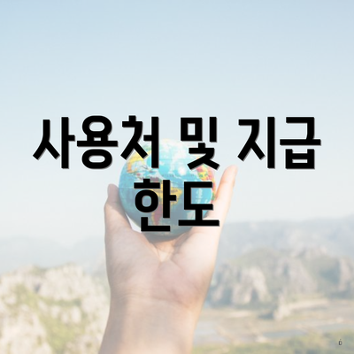 사용처 및 지급 한도