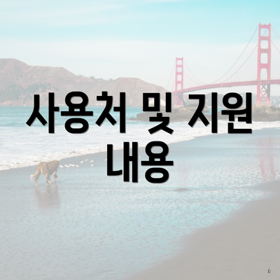 사용처 및 지원 내용