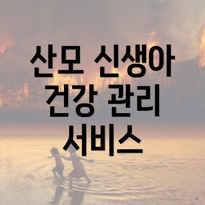 산모 신생아 건강 관리 서비스