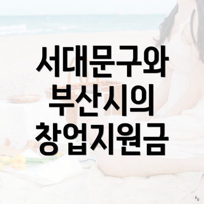 서대문구와 부산시의 창업지원금