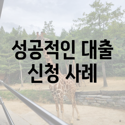 성공적인 대출 신청 사례