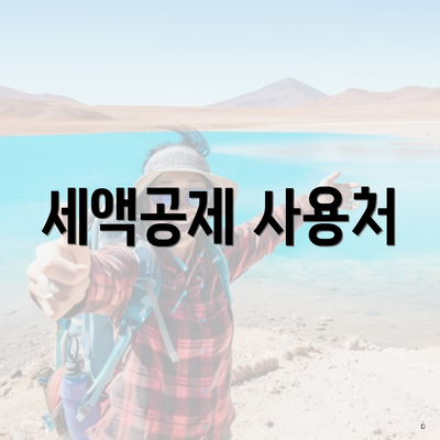 세액공제 사용처