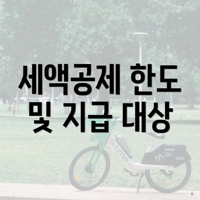 세액공제 한도 및 지급 대상