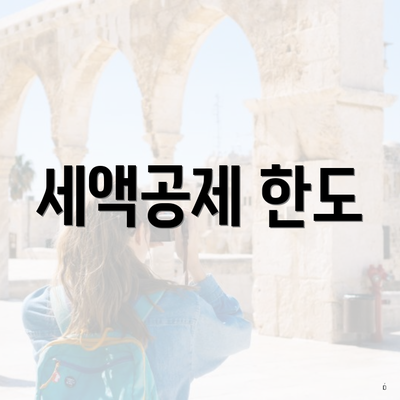 세액공제 한도
