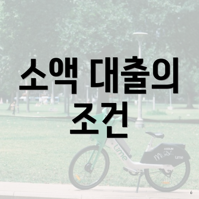 소액 대출의 조건