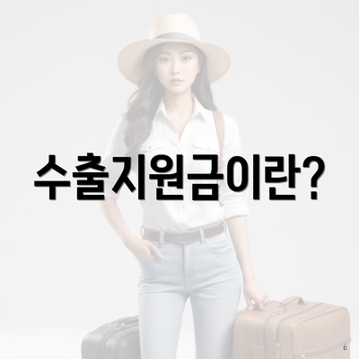 수출지원금이란?