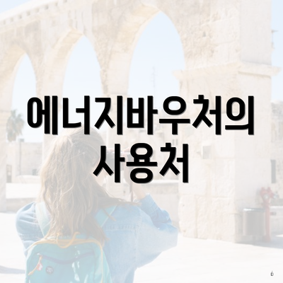 에너지바우처의 사용처