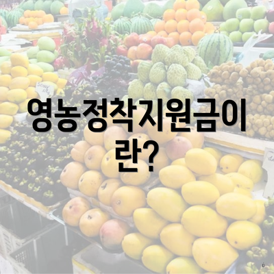 영농정착지원금이란?