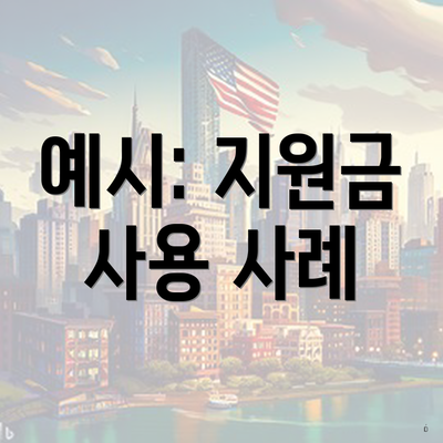 예시: 지원금 사용 사례