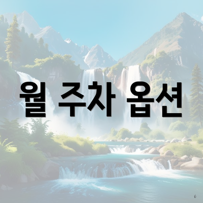월 주차 옵션
