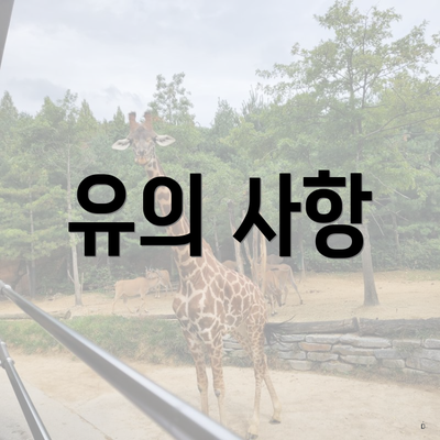 유의 사항
