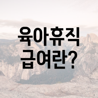 육아휴직 급여란?