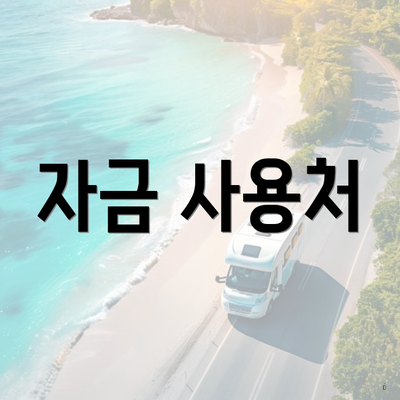자금 사용처