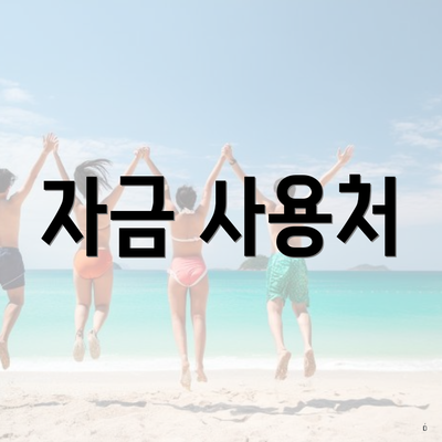 자금 사용처