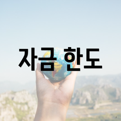 자금 한도