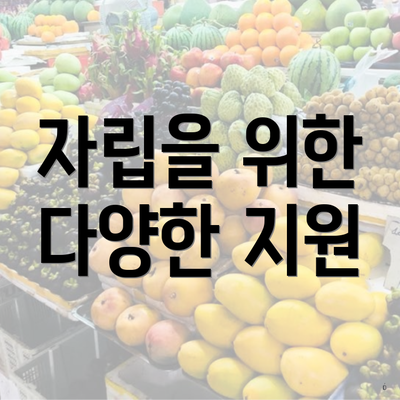 자립을 위한 다양한 지원