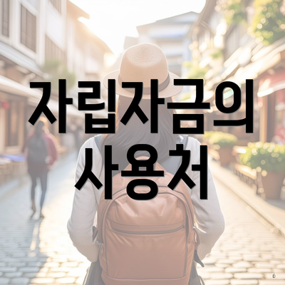 자립자금의 사용처