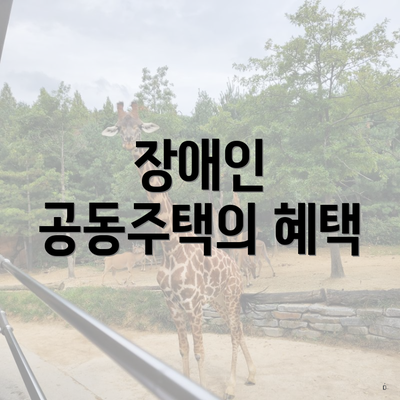 장애인 공동주택의 혜택