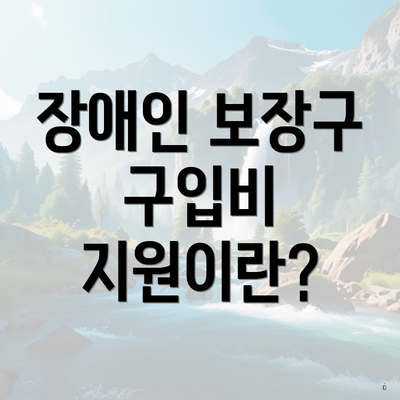 장애인 보장구 구입비 지원이란?