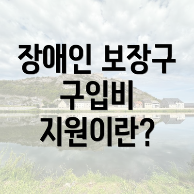 장애인 보장구 구입비 지원이란?