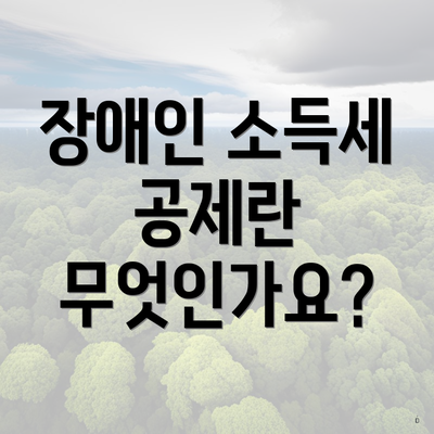 장애인 소득세 공제란 무엇인가요?
