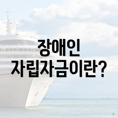 장애인 자립자금이란?