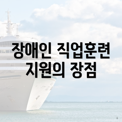 장애인 직업훈련 지원의 장점