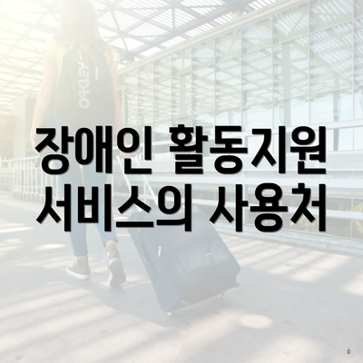 장애인 활동지원 서비스의 사용처