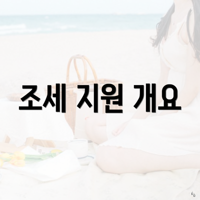 조세 지원 개요
