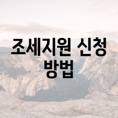 조세지원 신청 방법