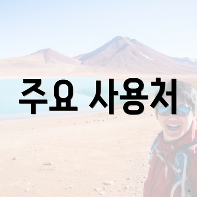 주요 사용처