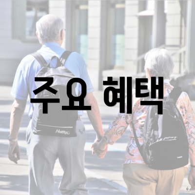 주요 혜택