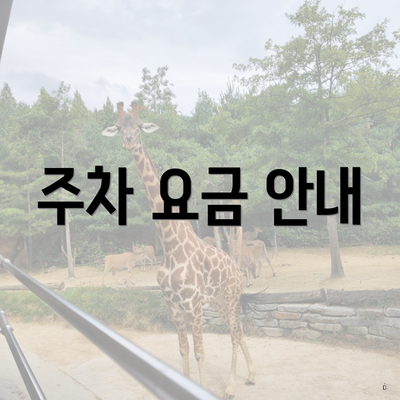 주차 요금 안내