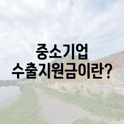 중소기업 수출지원금이란?