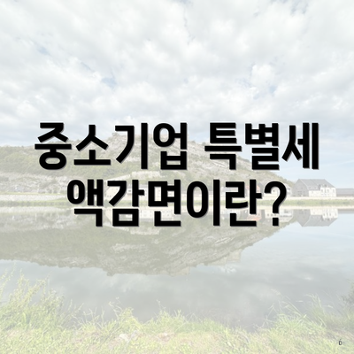 중소기업 특별세액감면이란?