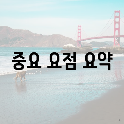 중요 요점 요약