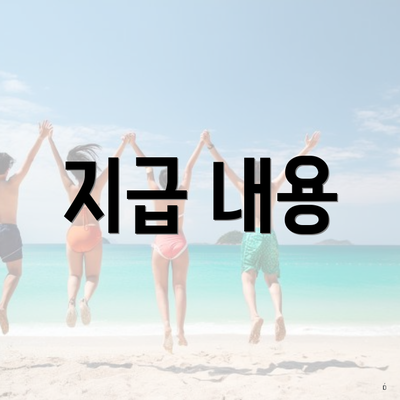 지급 내용