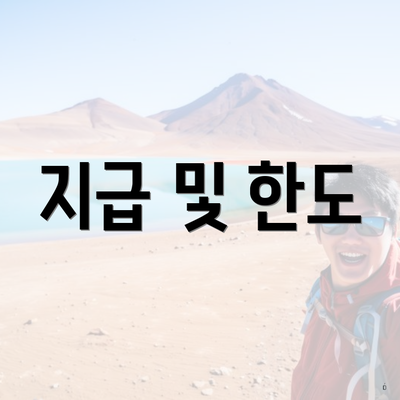 지급 및 한도